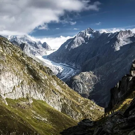 Melchior Σπίτι διακοπών Fiesch